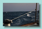 100_Wind & Sea
